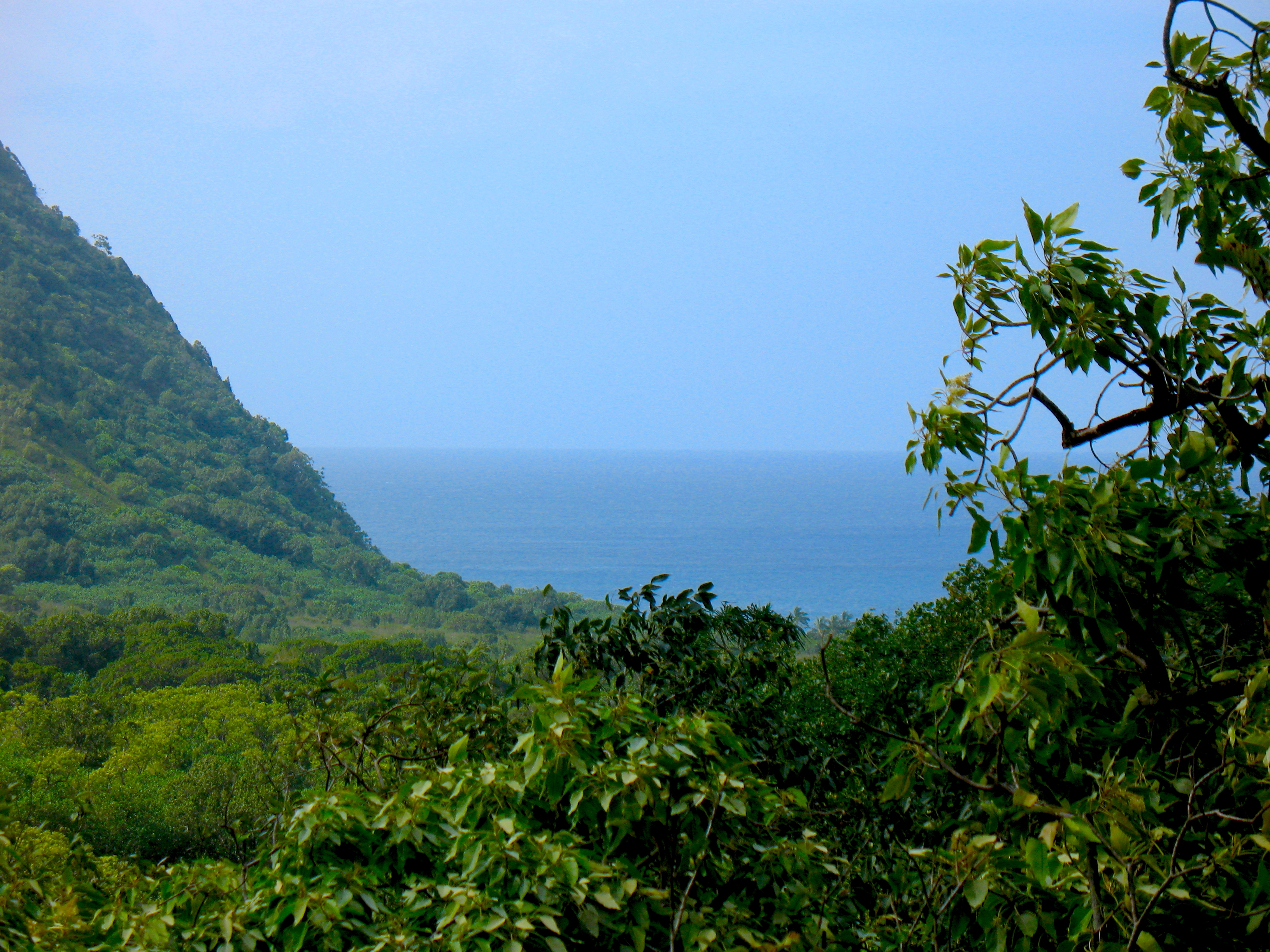 Ocean Side View